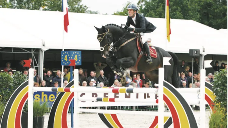 Ici au championnat du monde des six ans à Lanaken, Qlassic Bois Margot a été formé par le Normand Marc Dilasser.