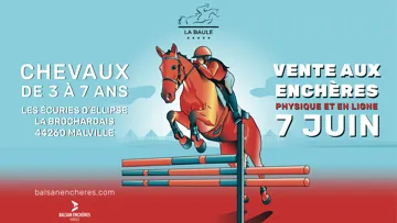 Une vente aux enchères physique et en ligne en marge du Jumping de La Baule !