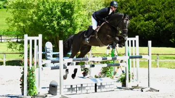 STEFFEN’S Enchères & Associés vous présentent ses ventes d’été