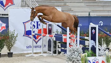 Jagger de Marigny*GFE