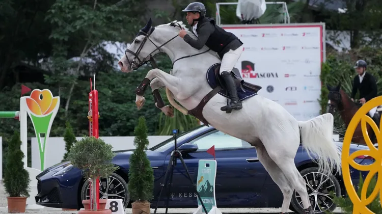 Dans ce Grand Prix, Nicolas Sers et Espoir de la Chesnee ont signé leur meilleur résultat commun dans un Grand Prix.