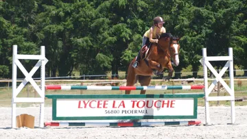 Joindre l’utile à l’agréable : les formations, les options, le cadre  