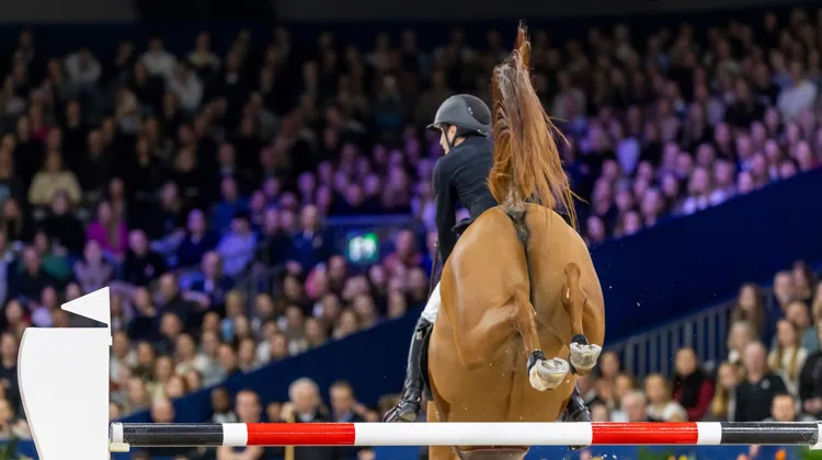 La croissance du nombre de CSI outre-Atlantique est grandement liée à un gros avantage comparatif dont bénéficient les organisateurs concernant les frais d’engagement.