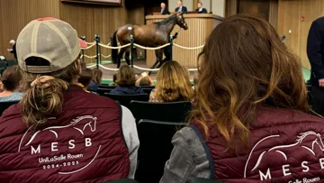 En Normandie, UniLaSalle Rouen propose le MS® MESB, une formation d’excellence en douze mois pour former les futurs managers et décideurs de la filière équine.