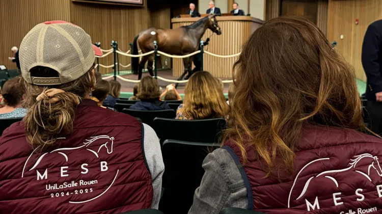 En Normandie, UniLaSalle Rouen propose le MS® MESB, une formation d’excellence en douze mois pour former les futurs managers et décideurs de la filière équine.