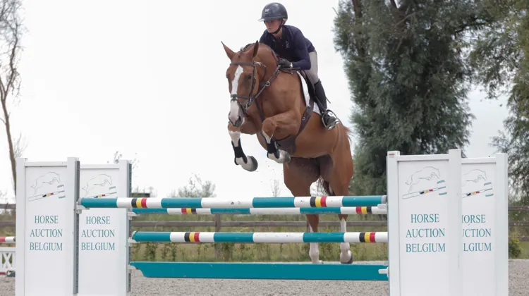 Les jeunes espoirs du saut d'obstacles à Sentower Park 
