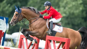 Margie Engle et Royce faisaient partie de l'équipe américaine victorieuse de la Coupe des nations de Hickstead, en 2014.