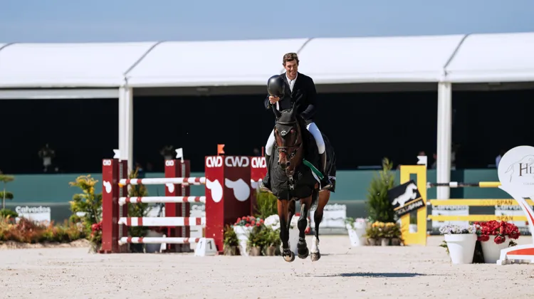 Primé aujourd’hui, Curacao Island évolue sous la selle de Geoffroy de Coligny depuis deux ans. 