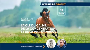 Webinar gratuit - jeudi 13 novembre 2025