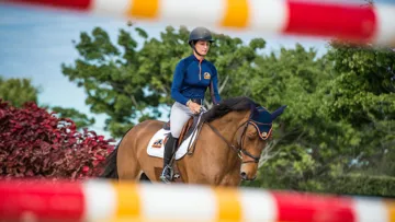 Focus sur l’apport énergétique adapté à votre cheval