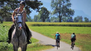 Cavalassur vous conseille