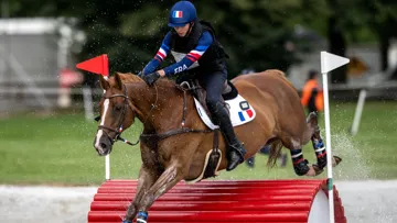 L'équipe de France Junior est en tête du championnat tandis que les Jeunes Cavaliers sont deuxièmes.