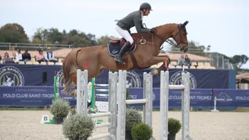 Aujourd'hui, Brazyl du Mezel a confirmé sont retour sur la scène internationale avec une victoire dans le Grand Prix 3* de Gassin, sous la selle de François Xavier Boudant.