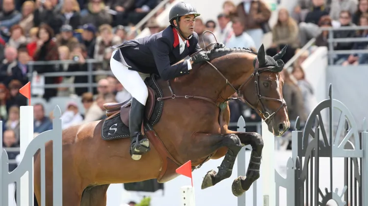 Ici à La Baule, le Selle Français avait pris part à certains des beaux concours du monde avec Florian Angot.