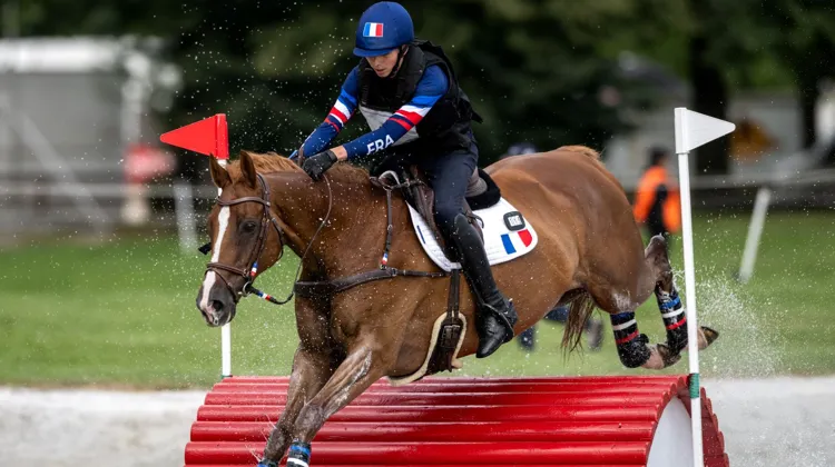 L'équipe de France Junior est en tête du championnat tandis que les Jeunes Cavaliers sont deuxièmes.