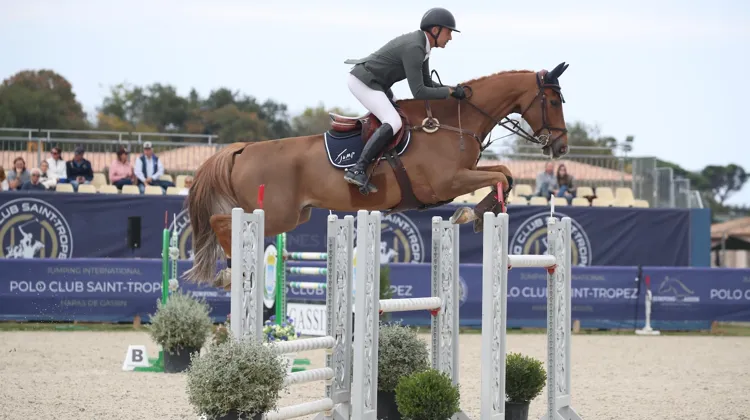 Aujourd'hui, Brazyl du Mezel a confirmé sont retour sur la scène internationale avec une victoire dans le Grand Prix 3* de Gassin, sous la selle de François Xavier Boudant.
