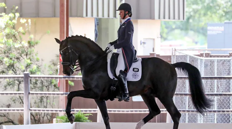 Adrienne Lyle et Salvino restent invaincus à Wellington.