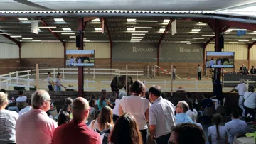 Si les ventes 100% en ligne sont également possibles, Balsan Enchères Horses tend à privilégier les ventes physiques, lieux d'échanges fructueux et conviviaux.