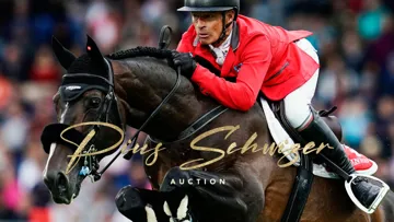 LES JEUNES TALENTS DE PIUS SCHWIZER EN VENTE CHEZ NASH AUCTION !