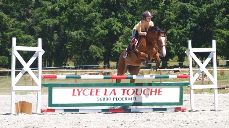 Un centre équestre au coeur du Lycée La Touche pour un enseignement à tous les niveaux