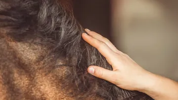 Pour les athlètes équins, comme pour les humains, la physiothérapie manuelle comporte de nombreux bénéfices. 
