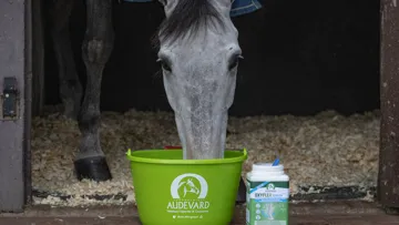 Les laboratoires Audevard créent l’évolution du soutien des tendons et ligaments avec EKYFLEX TENDON EVO