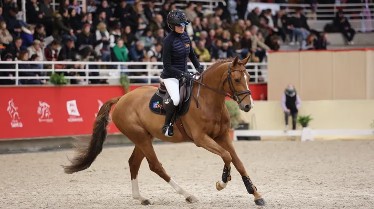 JAGGER DE MARIGNY*GFE, l’élève modèle sous la selle d’Eden Leprévost Blin-Lebreton