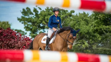 Un apport énergétique adapté à votre cheval