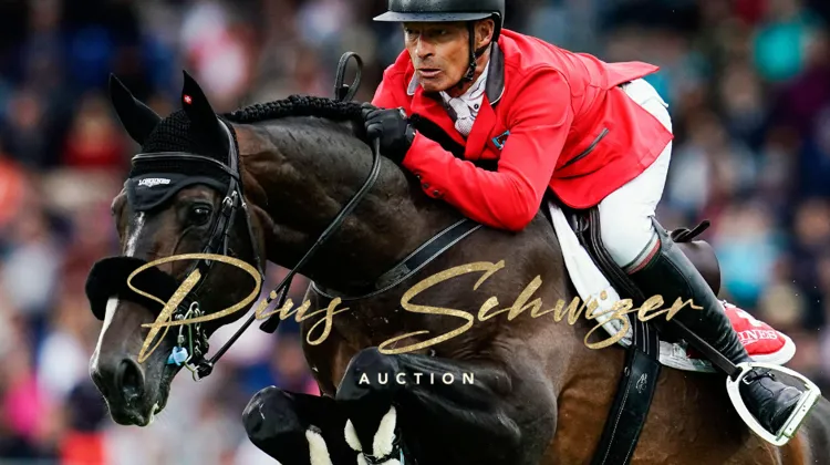 Les jeunes talents de Pius Schwizer en vente chez NASH AUCTION ! 