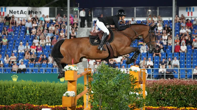 Après avoir été sélectionnée pour ses premiers championnats d'Europe Seniors, Nina Mallevaey grimpe encore au classement mondial.