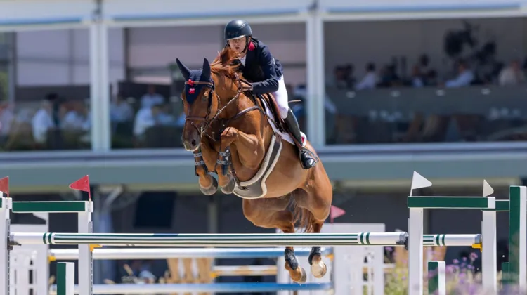 À La Corogne, Antoine Ermann et Floyd des Prés ont réalisé la meilleure performance française des championnats d’Europe en signant trois parcours sans-faute sur quatre.
