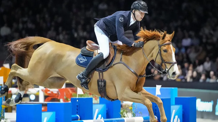 Harry Charles et Billabong du Roumois à l’assaut de leur neuvième victoire internationale commune. 