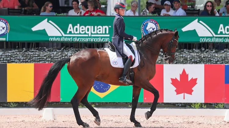 Benjamin Ebeling dans Grand Prix Freestyle CDIO3* de Wellington aux rênes de Indeed. 