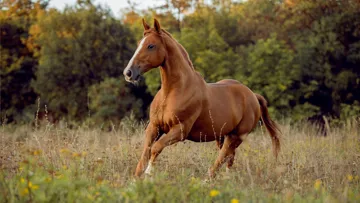 Cycle O’Calm, à la rescousse pour les chaleurs douloureuses !