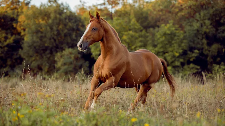 Cycle O’Calm, à la rescousse pour les chaleurs douloureuses !