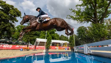 Vedouz de Nestin est sans conteste LE poney de l'année, ici aux championnats d'Europe, desquels il est rentré doublement médaillé d'or. 