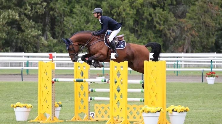 Particulièrement styliste, Crack Bel a été valorisé par Julien Gonin et s’apprête à poursuivre sa route sous selle irlandaise. 