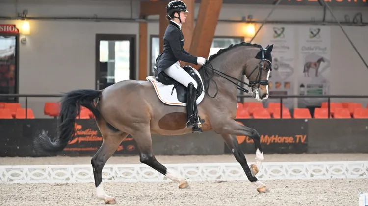 Ici dans le Grand Prix disputé hier, Larissa Pauluis et Flambeau se sont imposés dans le Grand Prix Libre