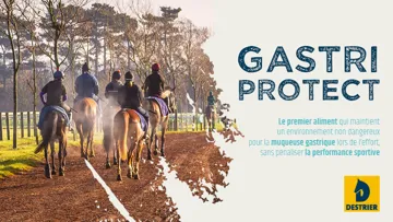 Prévention des ulcères avec Destrier Gastri Protect