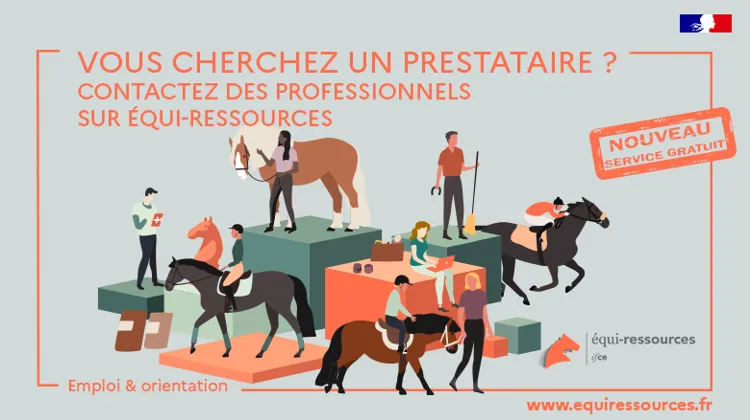 Equi-ressources lance une plateforme dédiée aux prestataires de la filière cheval