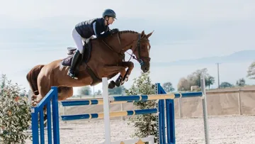 Aux portes du CSI 5* de Genève, la troisième édition des enchères Extra Horses promet de conclure brillamment l’année