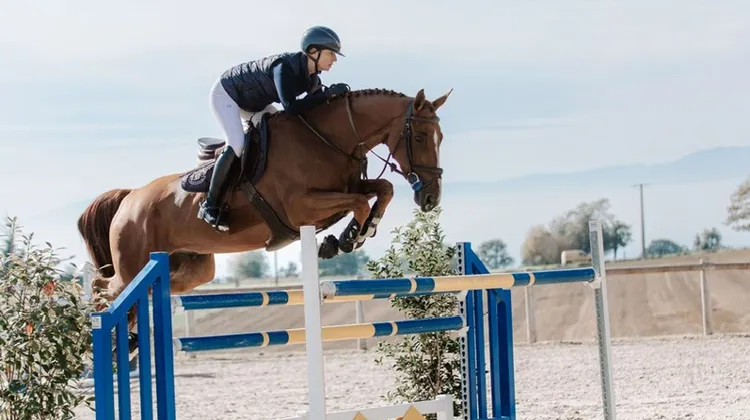 Aux portes du CSI 5* de Genève, la troisième édition des enchères Extra Horses promet de conclure brillamment l’année