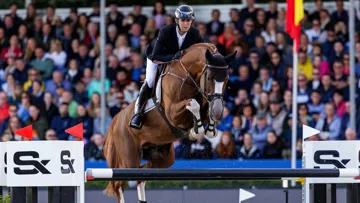 La pleine lignée de Like A Diamond van het Schaeck, disponible lors des enchères Optimus!