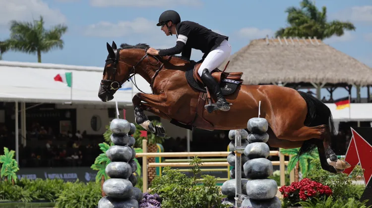 Enrick von Eckermann et Glamour Girl au Winter Equestrian de Floride en mars dernier