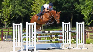 La vente aux enchères Dutch Horse Trading mise encore une fois sur la qualité