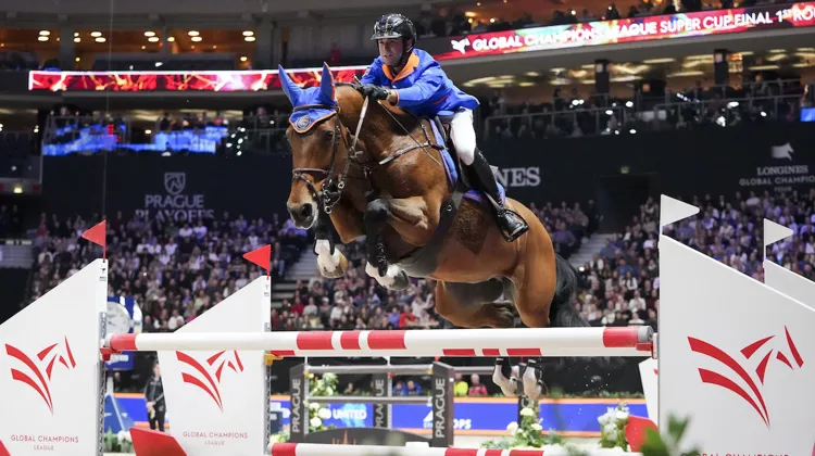 Gilles Thomas et Luna van het Dennehof au Longines Global Champions Tour de Prague en novembre dernier
