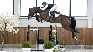 Messtender (Messenger x Nintender)