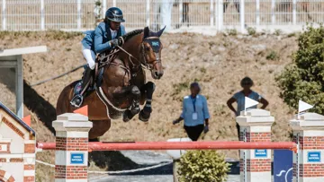 Jilbert Van't Ruytershof*GFE : performances et pedigree 5*