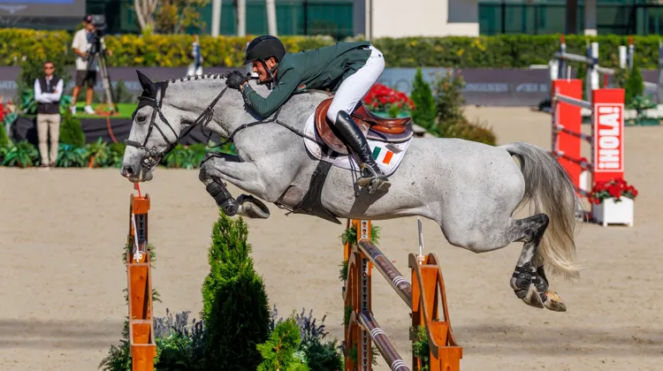 Après avoir grandi aux côtés de l’Irlandais Jack Ryan, comme ici à Barcelone, BBS McGregor évolue désormais avec Abdullah Mohd Al Marri. 