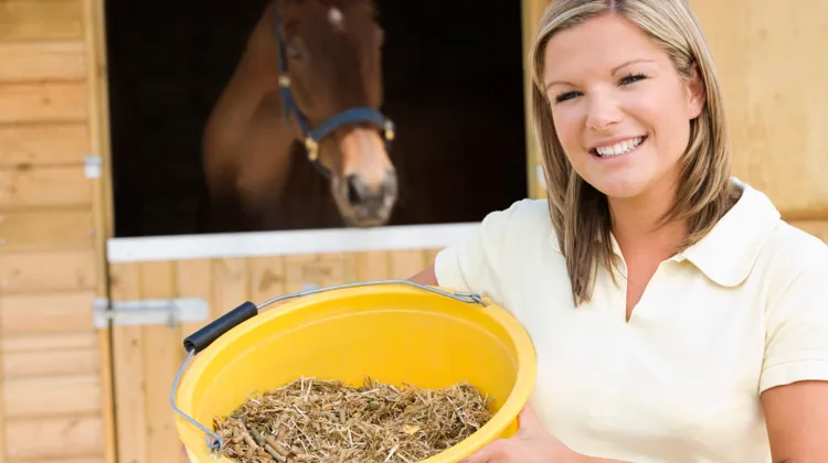 L’aliment fibreux : quand la fibre montre tout son potentiel